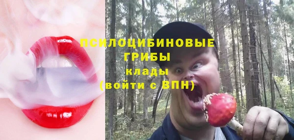 молекула духа Липки