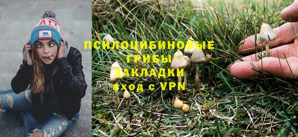 ALPHA PVP Лихославль