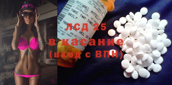 стаф Лагань
