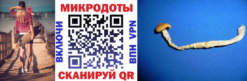 Галлюциногенные грибы мицелий  Котельнич 
