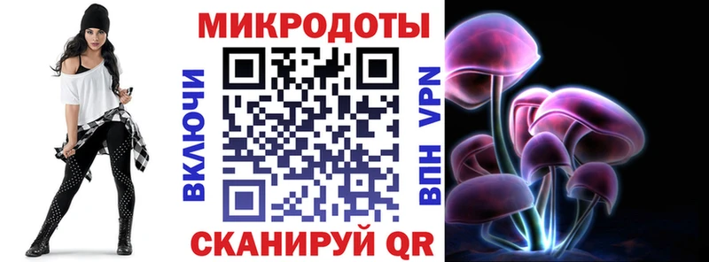Псилоцибиновые грибы Psilocybine cubensis Котельнич